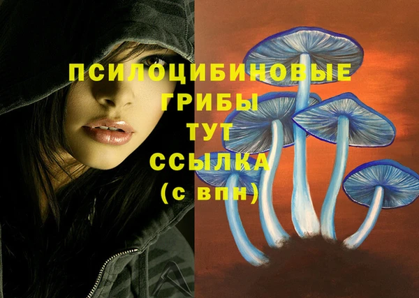бутик Аркадак